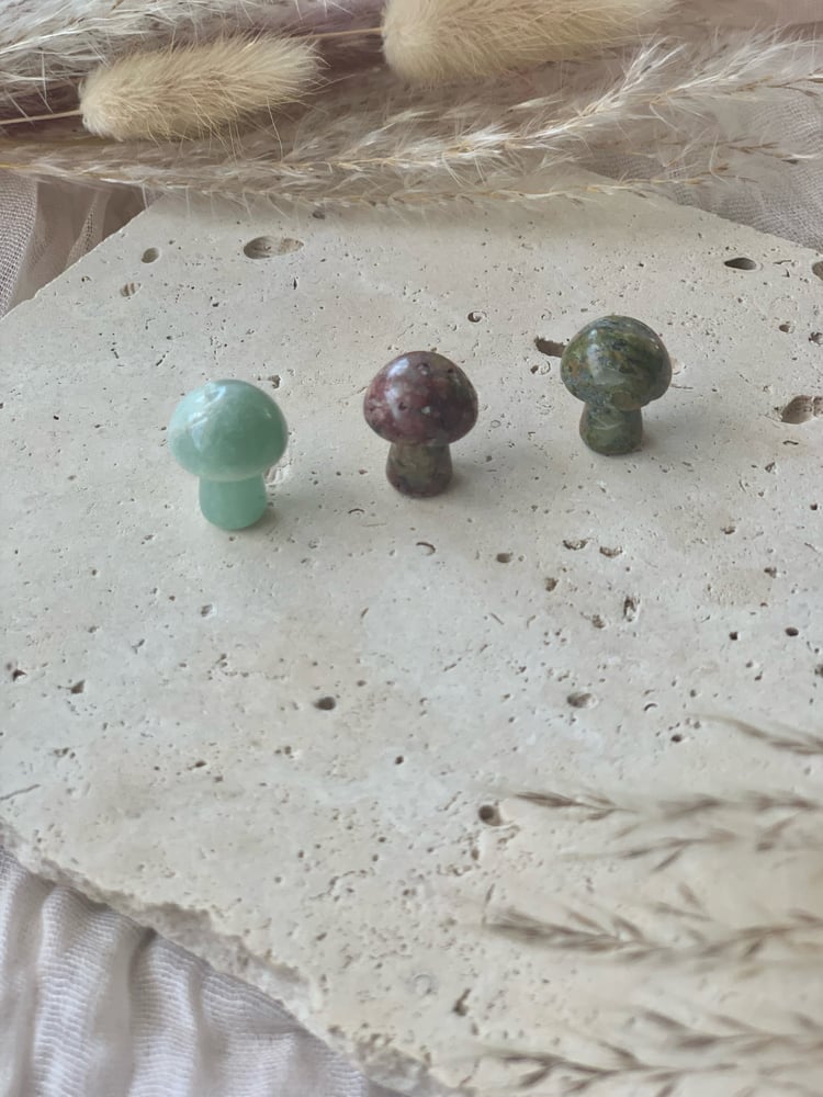 Image of Mini Mushroom Carvings (intuitively chosen) 