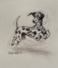 Image 5 of Scribble Dogs