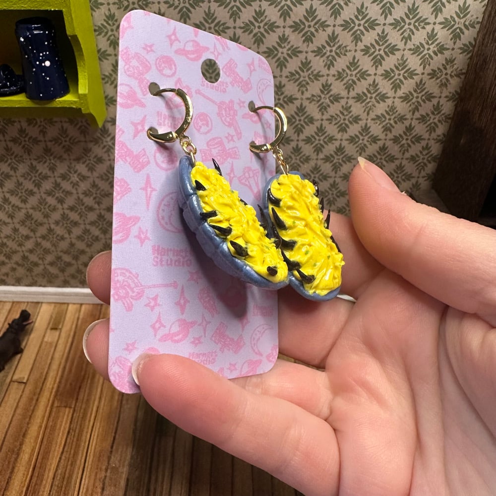 Image of New Groove Pill Bug Earrings