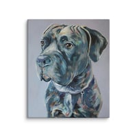 Image 4 of Sweet Mastiff