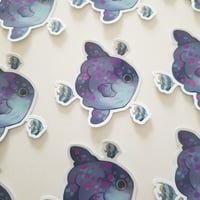 Mola Mola