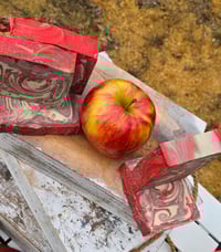 Image 3 of Apple Sage