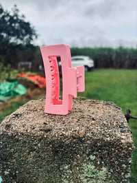 Image 2 of Claw Clips