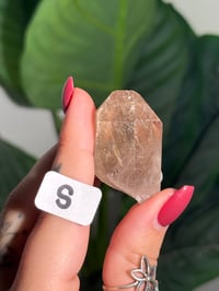 Image 19 of CHOOSE YOUR OWN MINI RUTILE SMOKEY QUARTZ POINTS (NATURAL UNPOLISHED POINTS) -BRAZIL- LOT 1