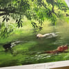 Swimming Laps - Archive Quality Print