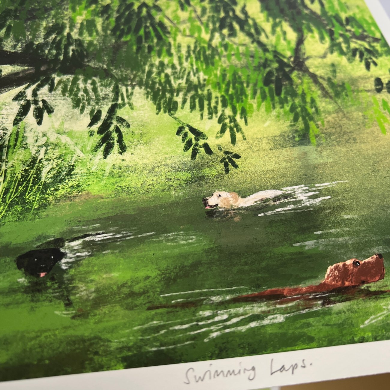 Swimming Laps Archive Quality Print Jenny Bloomfield Illustration