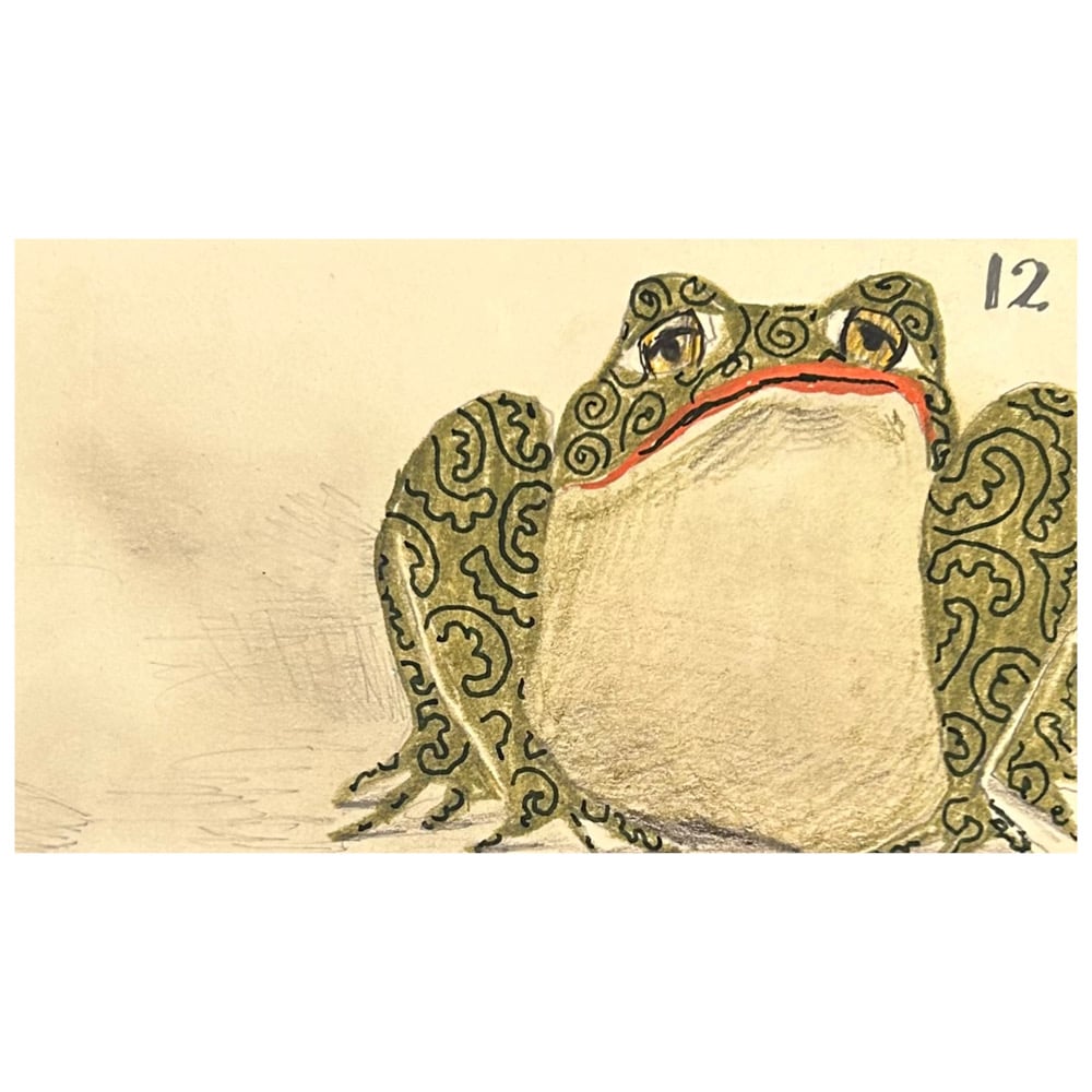 Image of 12. ( frog) 