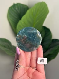 Image 14 of CHOOSE YOUR OWN MOSS AGATE DISK -INDIA- LOT 1