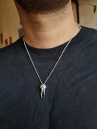 Image 2 of tooth with root 