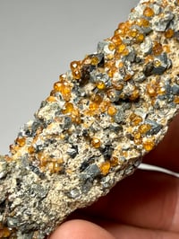 Image 10 of Hessonite Garnets On Matrix Specimen #2450
