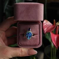 Image 1 of The Siren