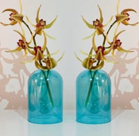 Image 3 of AQUA VASE