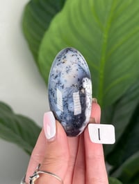 Image 9 of DENDRITIC OPAL SHIVAS