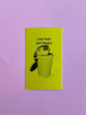 Image of Live Fast Eat Trash Sticker