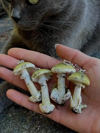 Image 1 of Death cup earrings 