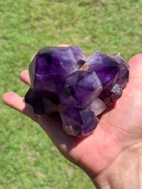 Image 13 of Amethyst Points Cluster |Congo #2910