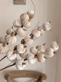 Image 4 of SALE! Luxury Pumpkin Stems ( 4 options )