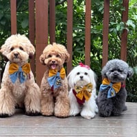 Image 2 of PERSONALIZED MONOGRAM SUNFLOWER DENIM BOW