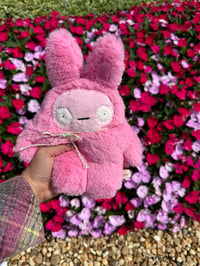 Image 1 of Burton bunny Poppy