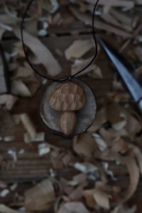 Image 1 of Cherry Wood Cep Mushroom 