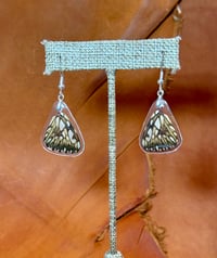 Image 1 of Juno Longwing Hindwings