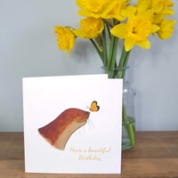 Beautiful Birthday