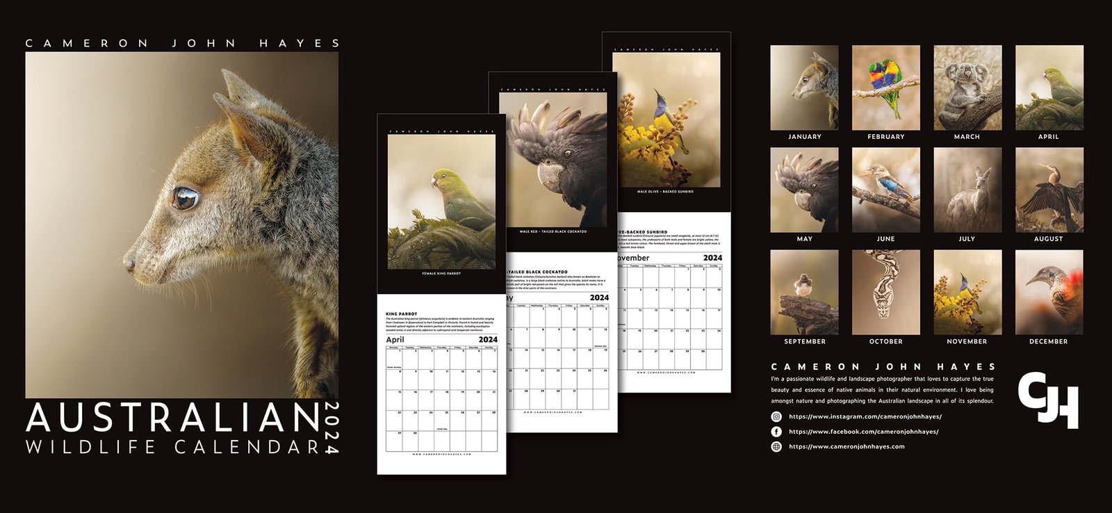 2024 AUSTRALIAN WILDLIFE CALENDAR Cameron John Hayes   2024 Australian Wildlife Calendar 