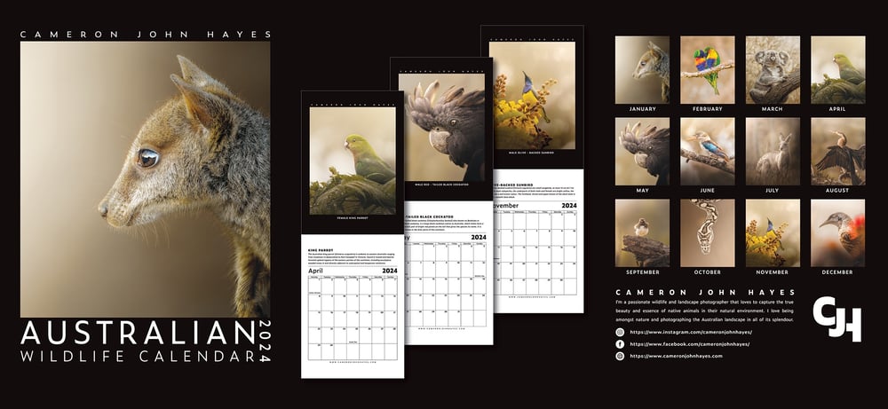 Image of 2024 AUSTRALIAN WILDLIFE CALENDAR