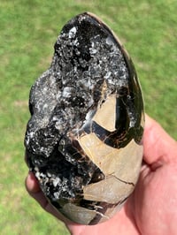 Image 6 of Septarian Nodule Polished Freeform With Calcite Inclusions| Madagascar #2892