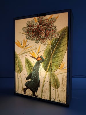 Image of Lluvias de Abril.