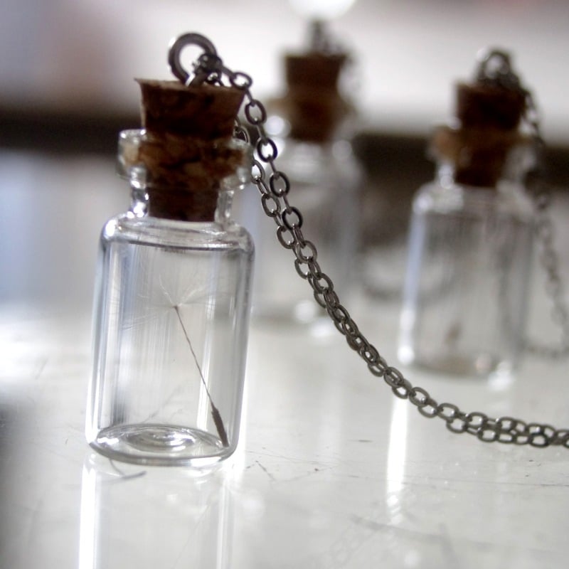 salvageandselvedge — Dandelion Vial Pendant Necklace