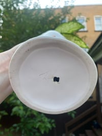 Image 7 of White Hand Gripping Dumb Cane Dieffenbachia