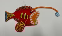 Image 2 of Orange Angler