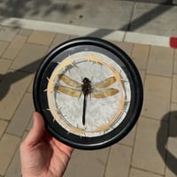 Dragonfly Chain Frame 