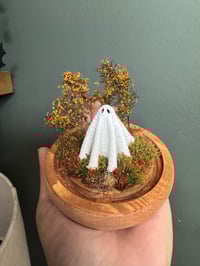 Image 1 of Ghost Globe 4