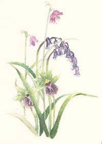 Image 1 of Endangered species study 1