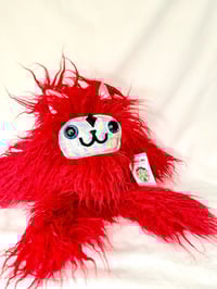 Image 4 of Cat with red wavy fur 