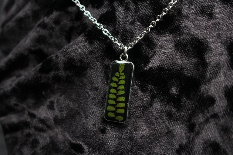 dead good maidenhair spleenwort Fern pendant Image 6