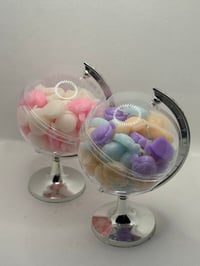 Globe scoopies 