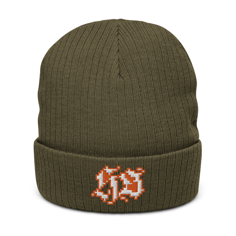 The "H.S." beanie