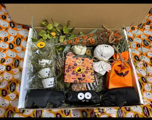 Image of October ‘SPOOKY Halloween’ enrichment toy and forage box