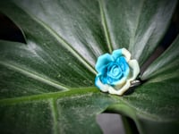 Image 3 of Succulent Ring