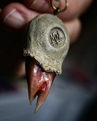 Image 13 of Magenta Bloom Snaggletooth Pendant OOAK