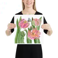 Image 12 of Parrot Tulips- Poster Print