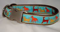 Image 1 of Dog Trail Dog Collar