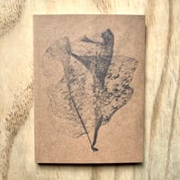 Image 1 of Robbie Lawrence - A Voice Above The Linn