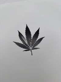 Image 2 of High as a Kite