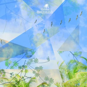 Image of Haleiwa - Pura Vida Dude