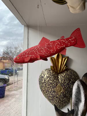 Image of Cosmic red trout 