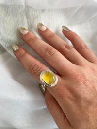 Image 3 of Literal Sunshine 